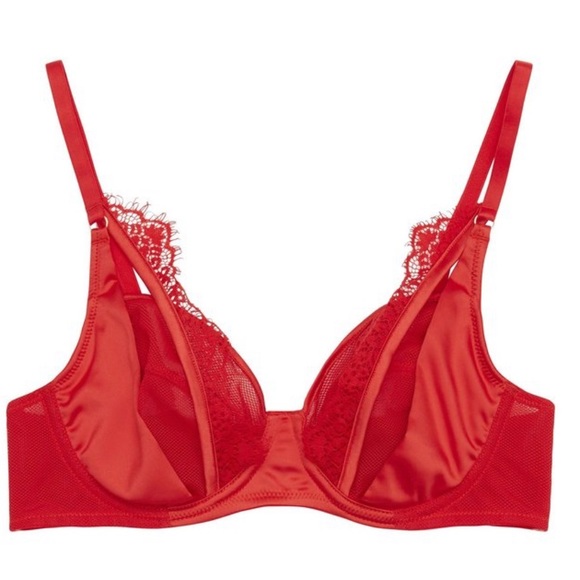 Zoya Curve Fishnet and Lace Plunge Bra - Picture 2 of 5